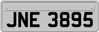 JNE3895