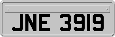 JNE3919
