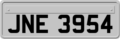 JNE3954