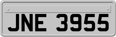 JNE3955