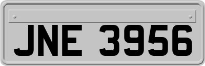 JNE3956