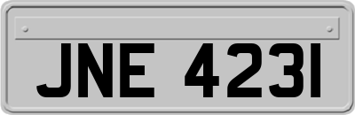 JNE4231
