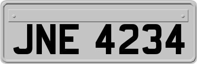 JNE4234