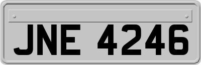 JNE4246