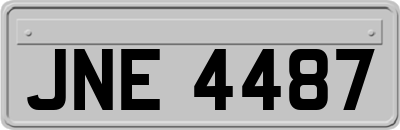 JNE4487