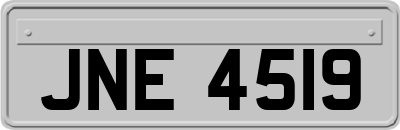 JNE4519