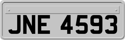 JNE4593