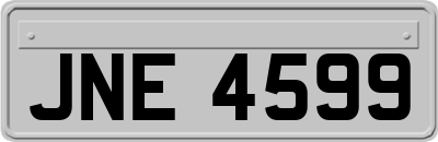 JNE4599