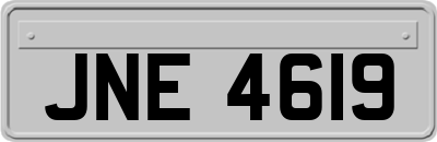 JNE4619