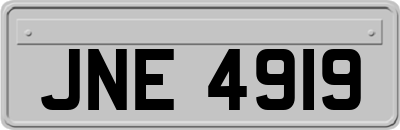 JNE4919