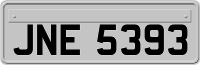 JNE5393