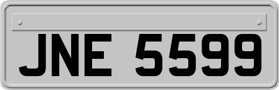 JNE5599