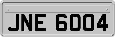 JNE6004