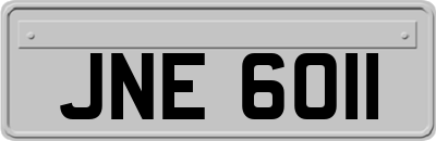 JNE6011