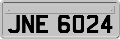 JNE6024