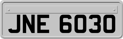 JNE6030