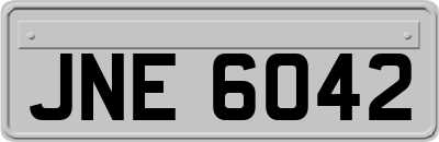 JNE6042