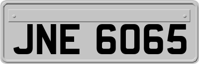 JNE6065