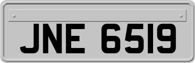 JNE6519