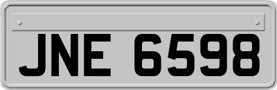 JNE6598