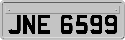 JNE6599
