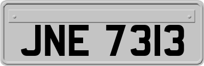 JNE7313