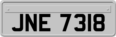 JNE7318