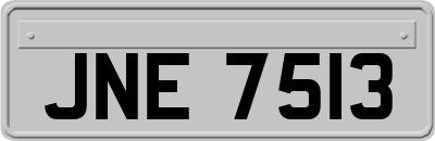 JNE7513