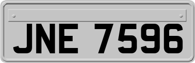 JNE7596