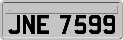 JNE7599