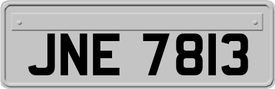 JNE7813