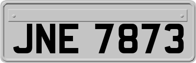 JNE7873