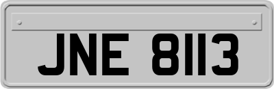 JNE8113