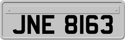 JNE8163