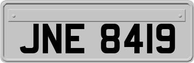 JNE8419