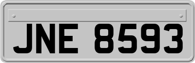 JNE8593