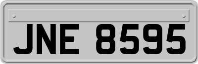 JNE8595