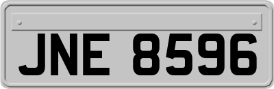 JNE8596