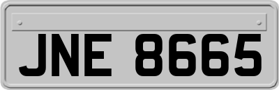 JNE8665