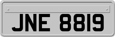 JNE8819