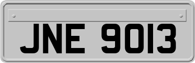 JNE9013