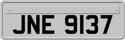 JNE9137