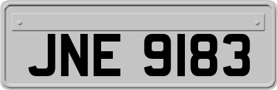 JNE9183