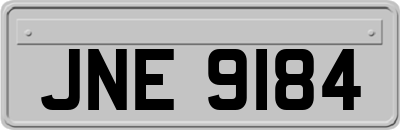 JNE9184