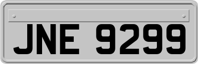 JNE9299