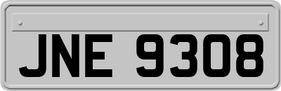 JNE9308