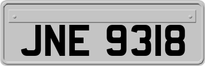 JNE9318