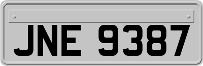 JNE9387