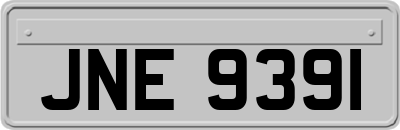 JNE9391