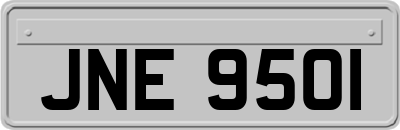 JNE9501